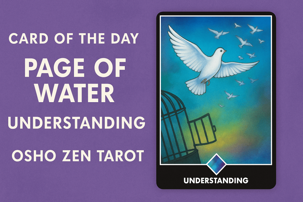 Card of the day-Page of Water;&nbsp;Understanding