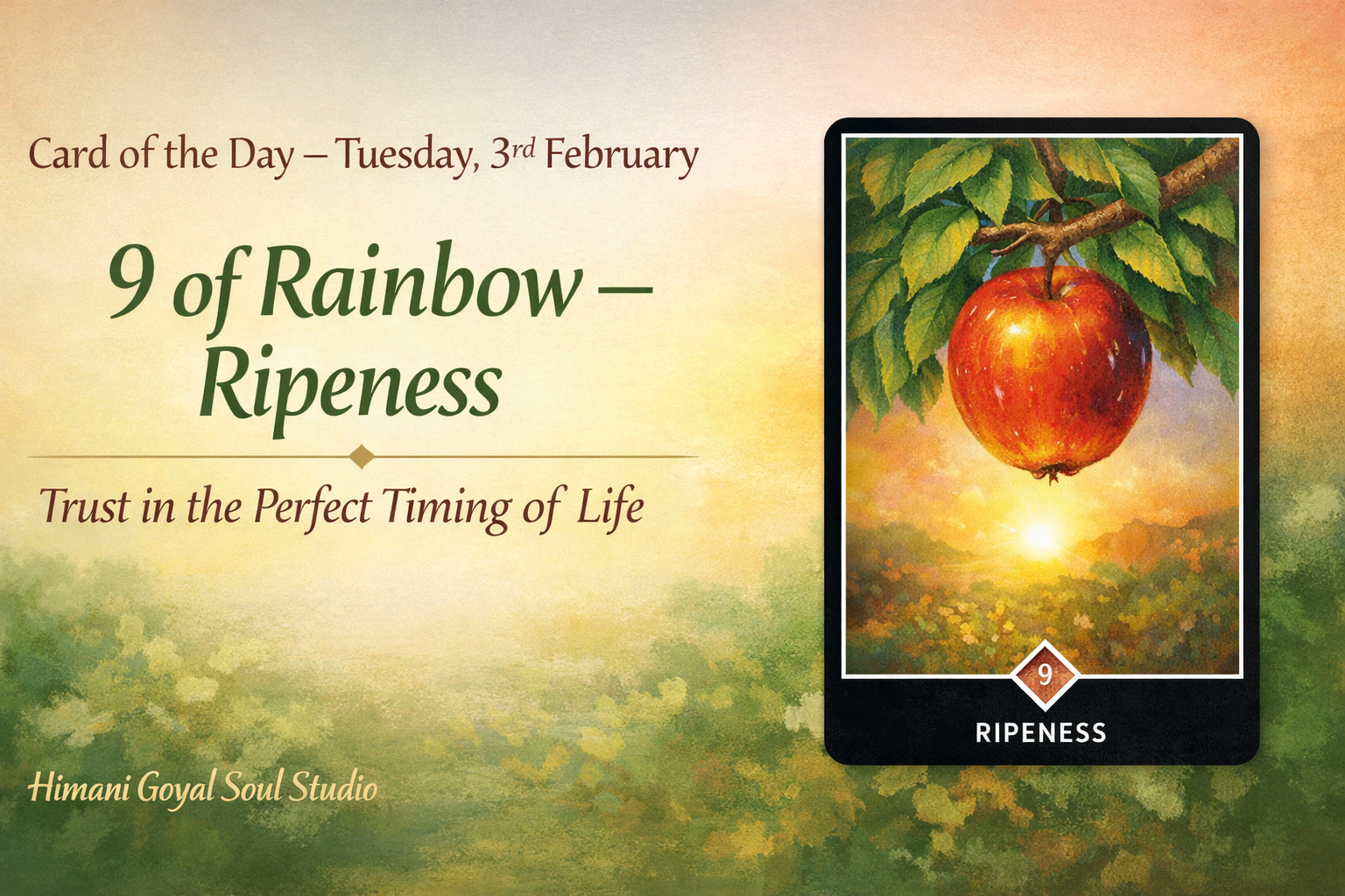 Card of the Day – Tuesday, 3rd February-Osho Zen Tarot: 9 of Rainbow – Ripeness