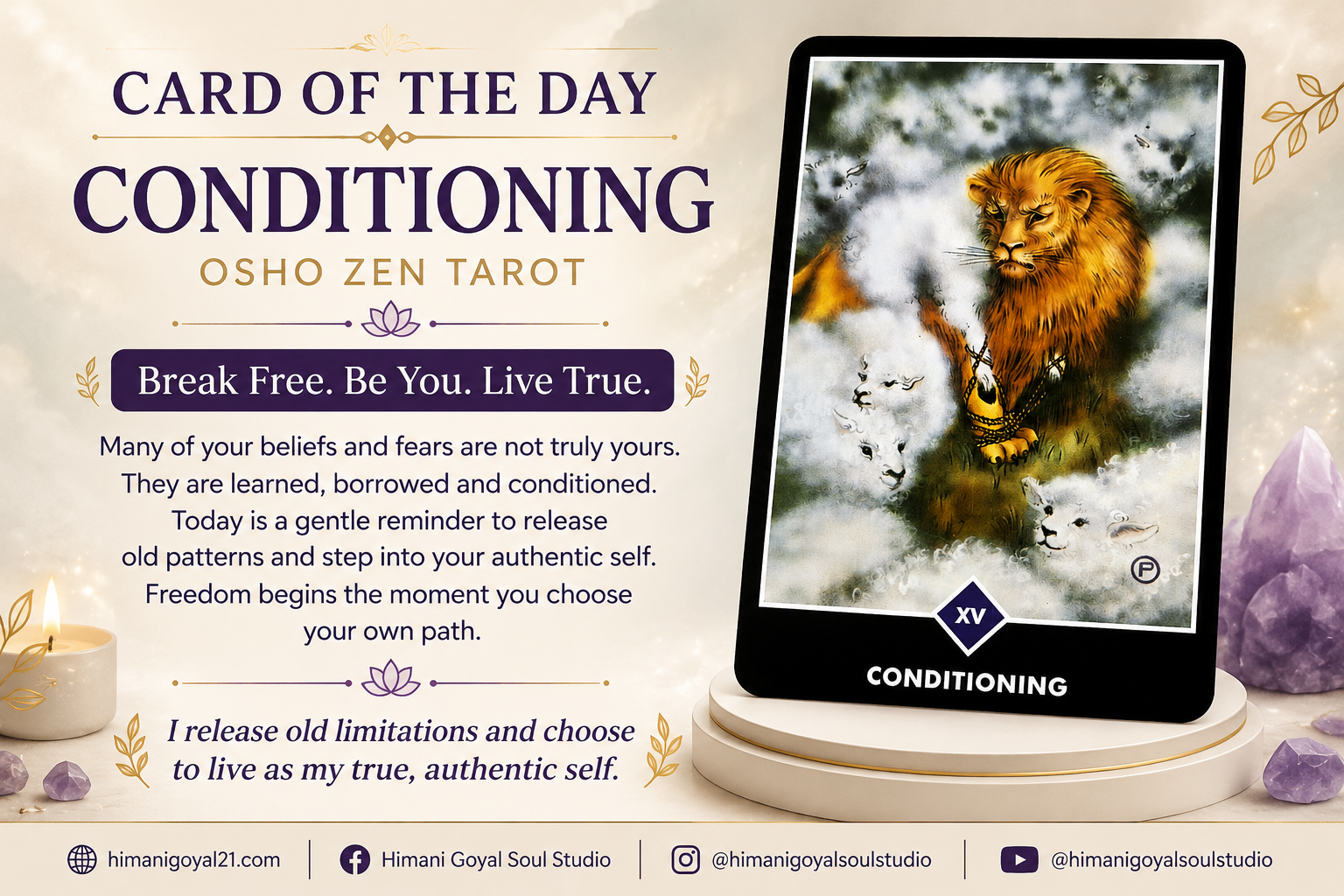 Card of the Day – Conditioning (Osho Zen Tarot)