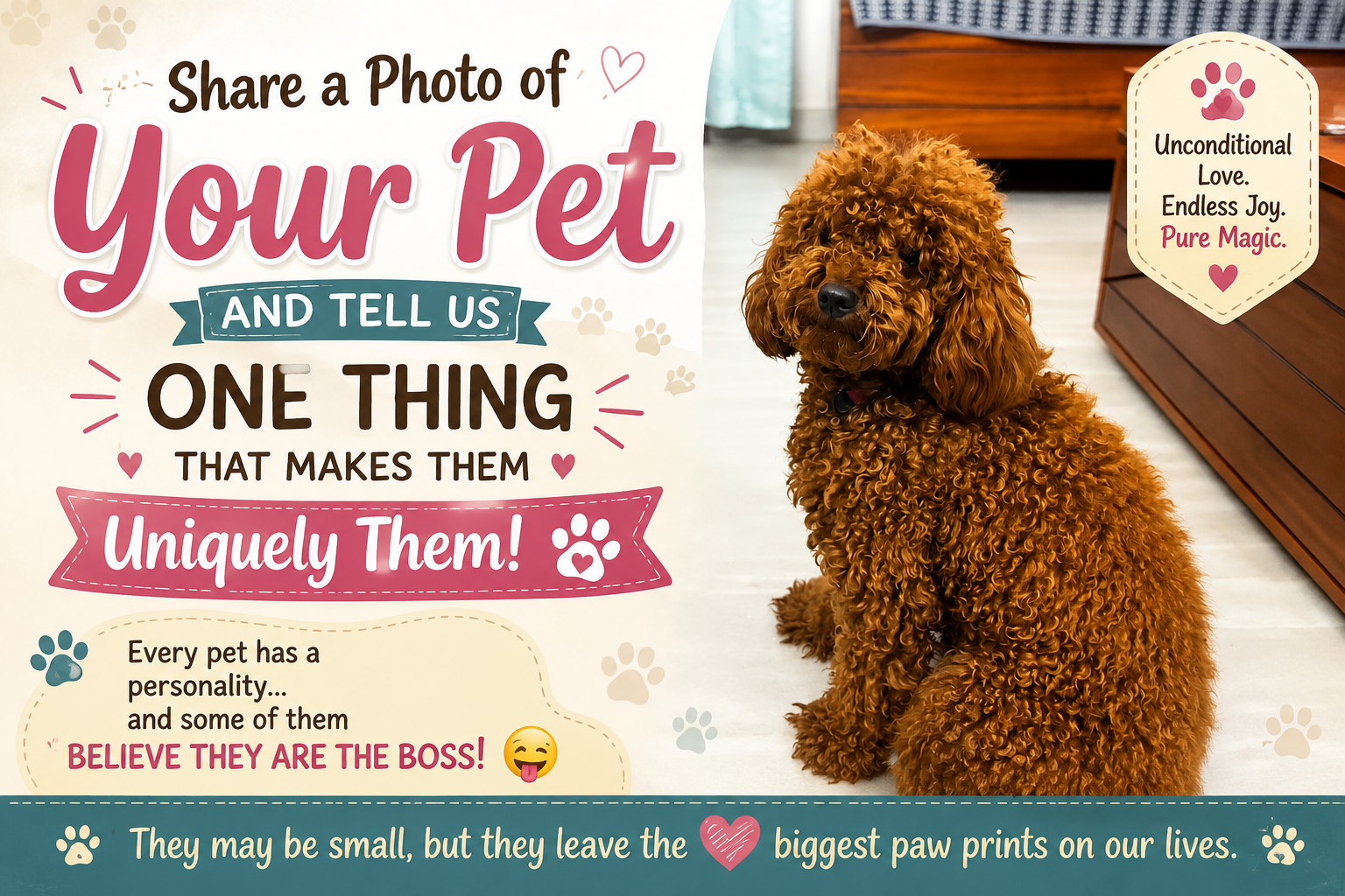 Share a photo of your pet and tell us one thing that makes them uniquely them.