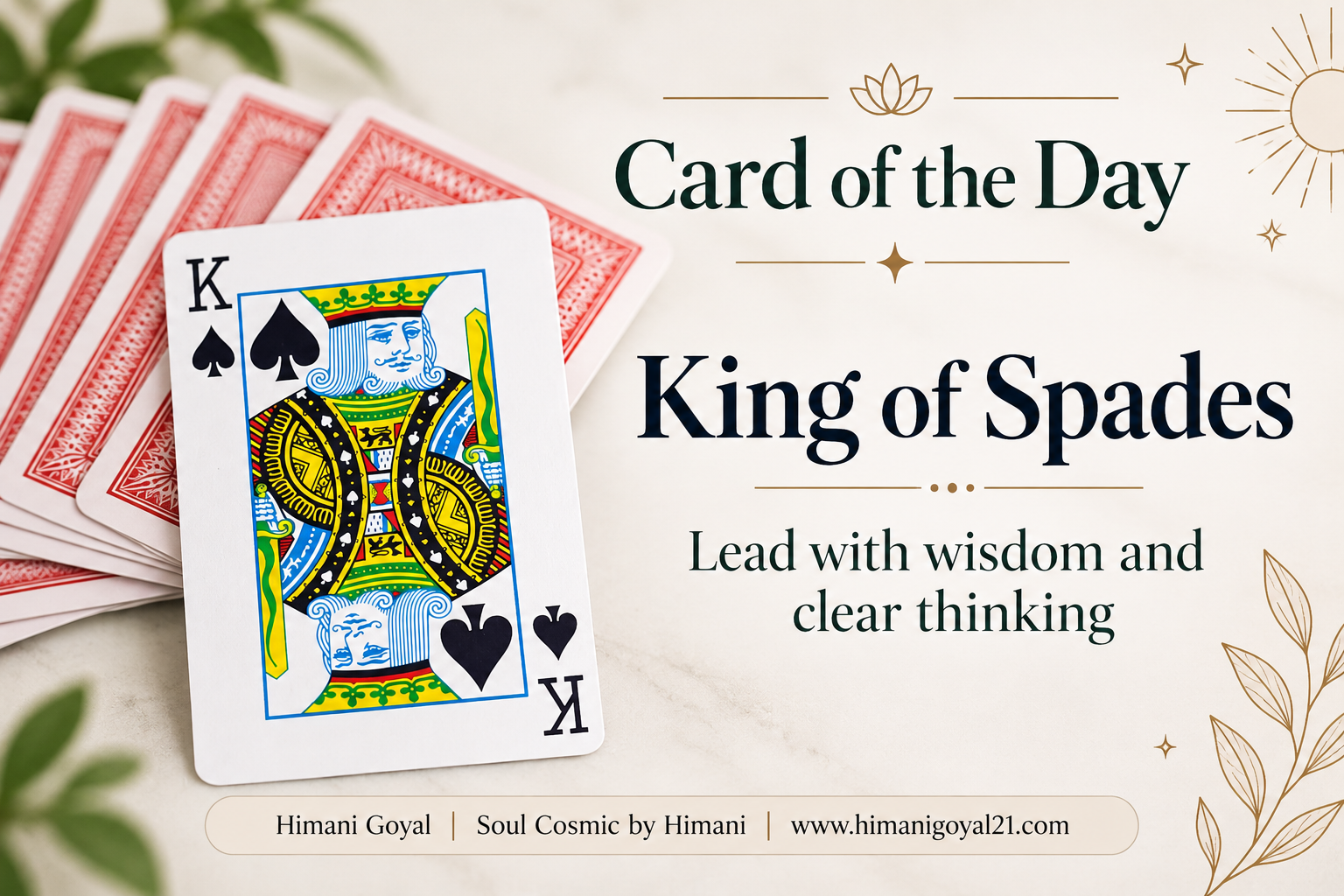 ♠️ Card of the Day: King of Spades