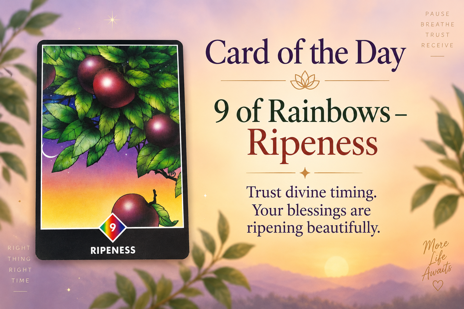 🌈 Card of the Day: 9 of Rainbows – Ripeness