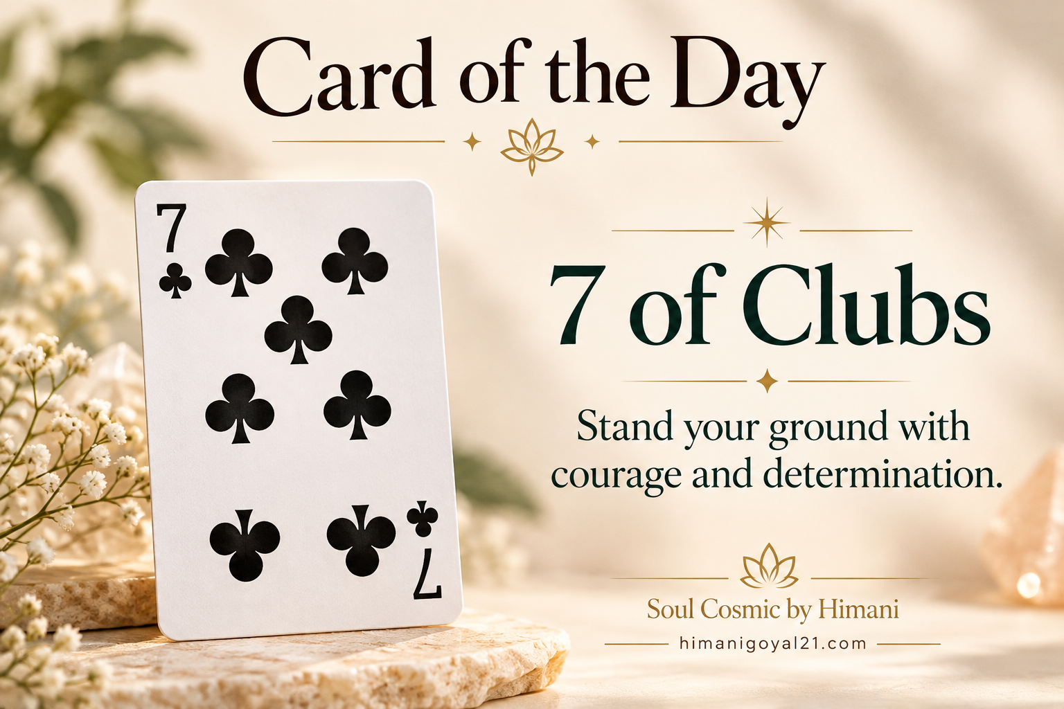 Card of the Day – 7 of Clubs ♣️